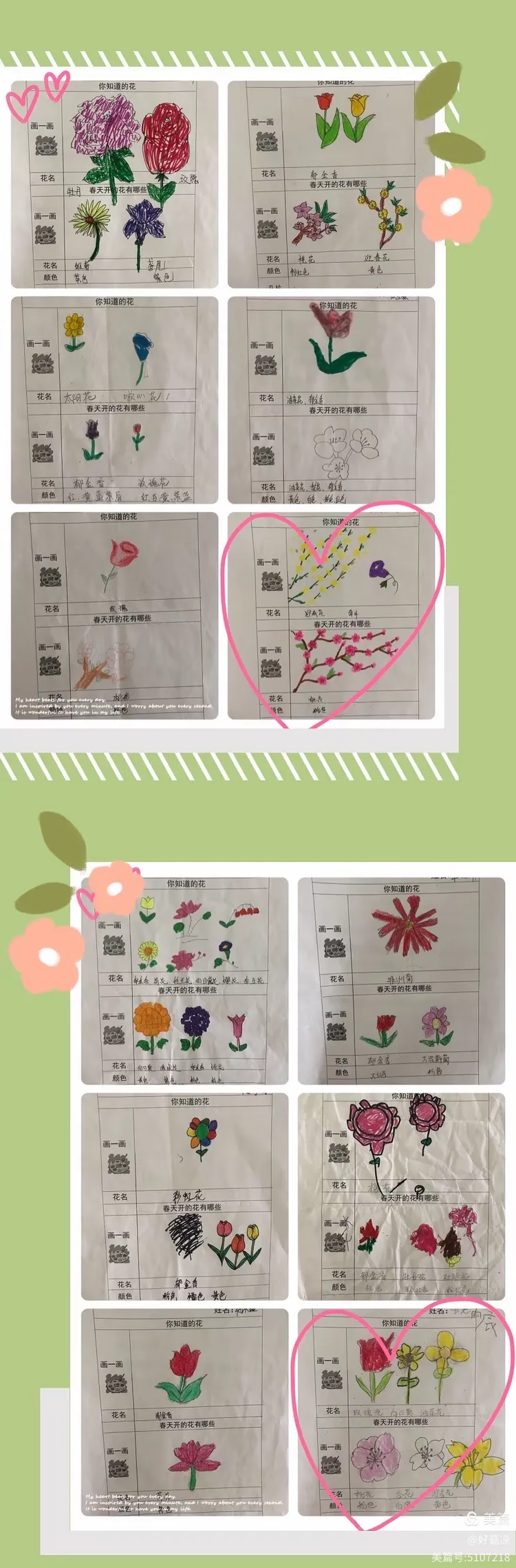 中二班班本课程